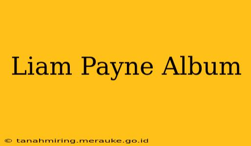Liam Payne Album