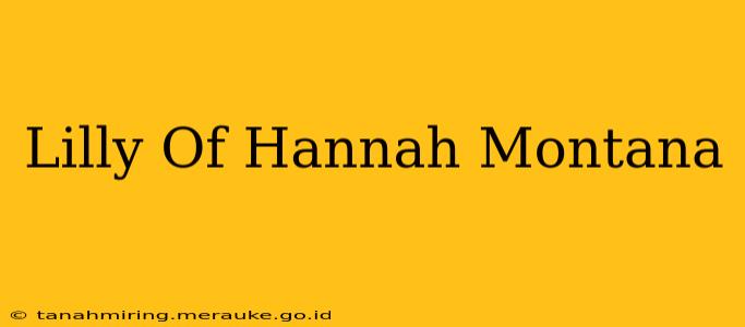 Lilly Of Hannah Montana