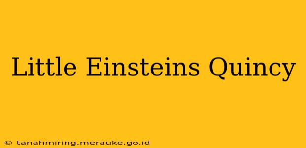 Little Einsteins Quincy