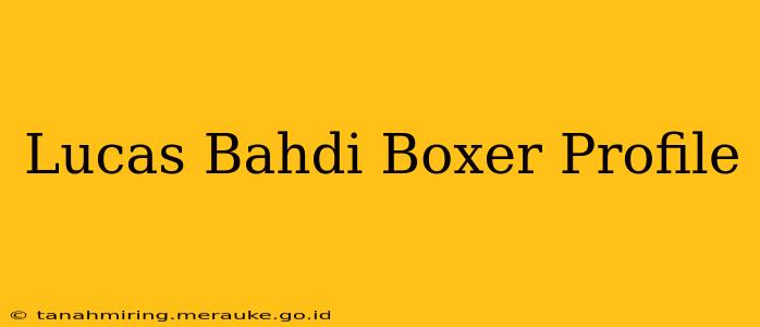 Lucas Bahdi Boxer Profile