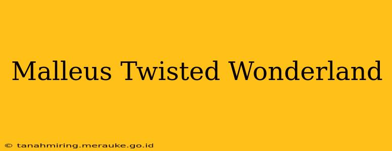 Malleus Twisted Wonderland