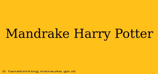 Mandrake Harry Potter