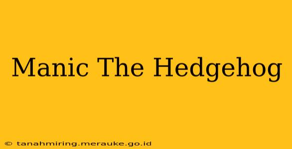 Manic The Hedgehog