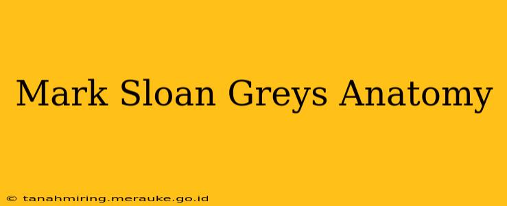 Mark Sloan Greys Anatomy
