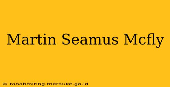 Martin Seamus Mcfly