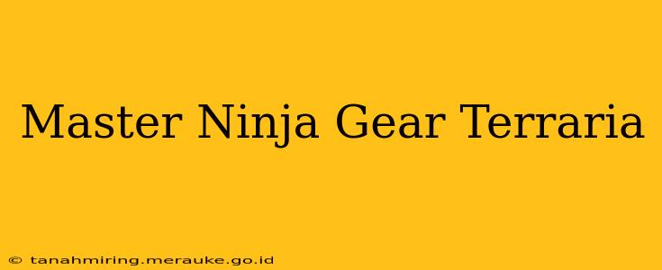 Master Ninja Gear Terraria