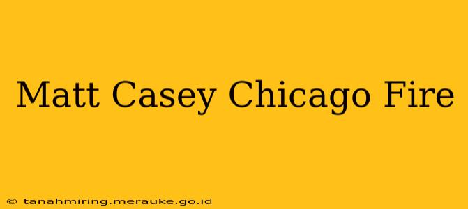 Matt Casey Chicago Fire