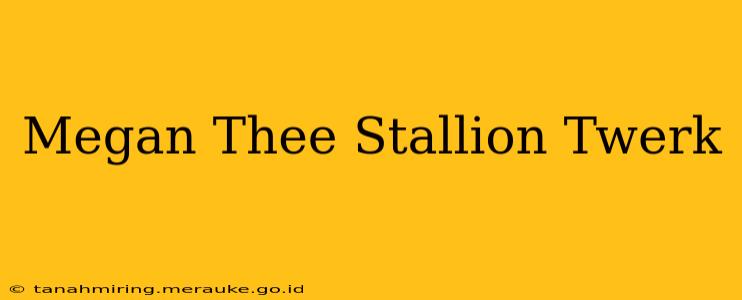 Megan Thee Stallion Twerk