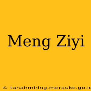 Meng Ziyi