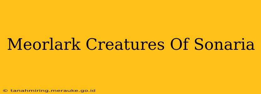 Meorlark Creatures Of Sonaria