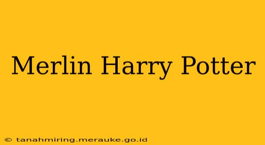 Merlin Harry Potter