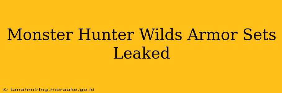 Monster Hunter Wilds Armor Sets Leaked