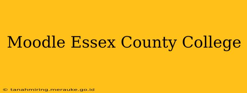 Moodle Essex County College