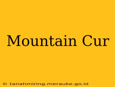 Mountain Cur