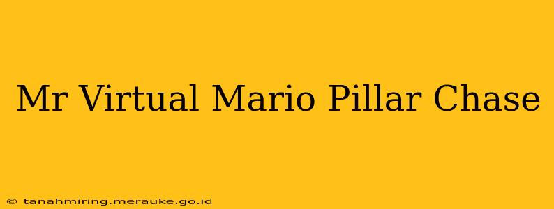 Mr Virtual Mario Pillar Chase