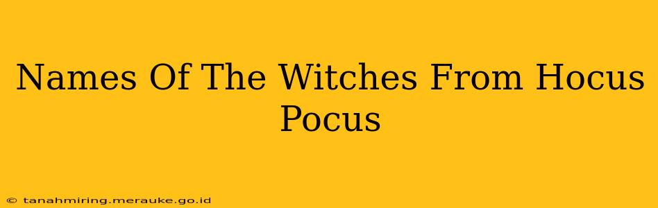 Names Of The Witches From Hocus Pocus