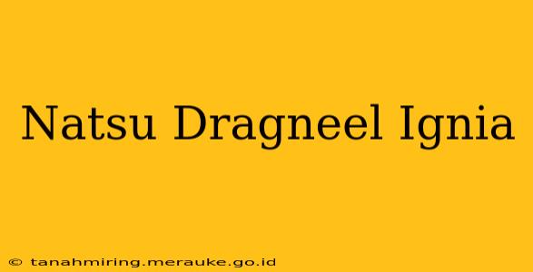 Natsu Dragneel Ignia