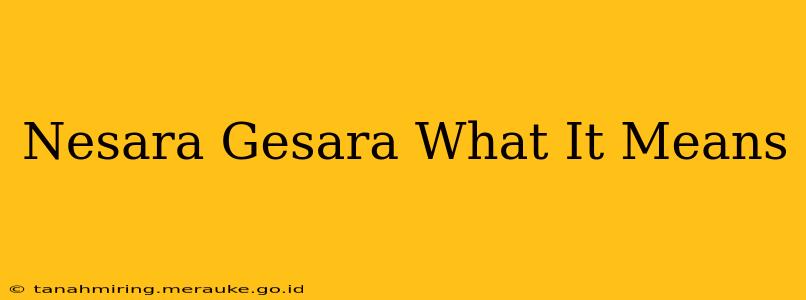 Nesara Gesara What It Means