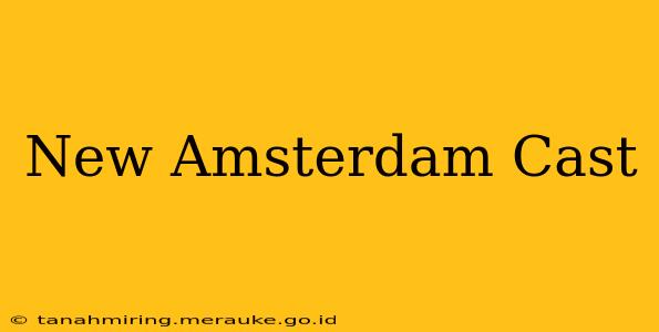New Amsterdam Cast