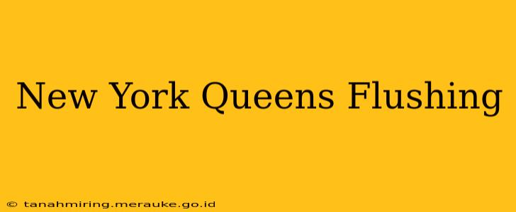 New York Queens Flushing
