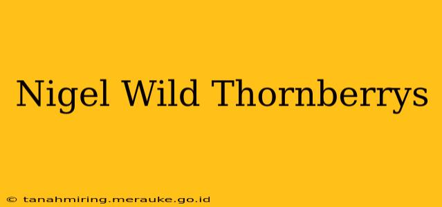 Nigel Wild Thornberrys