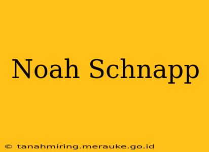 Noah Schnapp