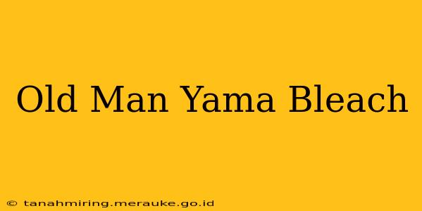 Old Man Yama Bleach