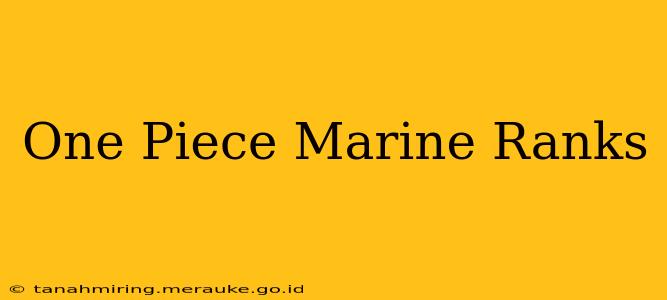 One Piece Marine Ranks