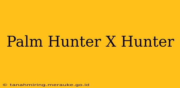 Palm Hunter X Hunter
