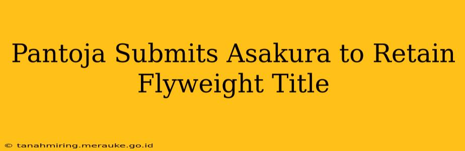 Pantoja Submits Asakura to Retain Flyweight Title