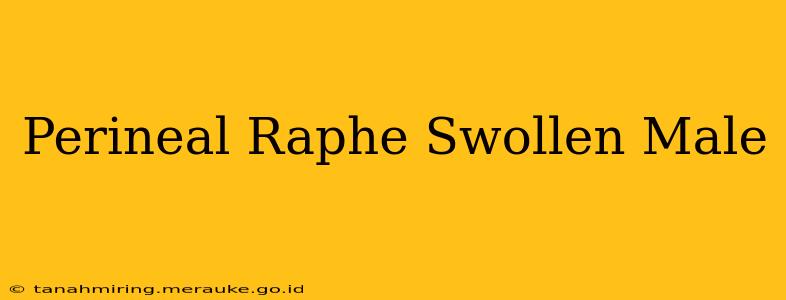 Perineal Raphe Swollen Male