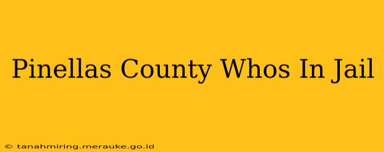 Pinellas County Whos In Jail