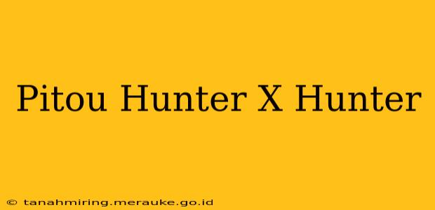 Pitou Hunter X Hunter