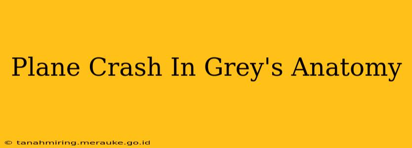 Plane Crash In Grey's Anatomy
