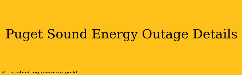 Puget Sound Energy Outage Details