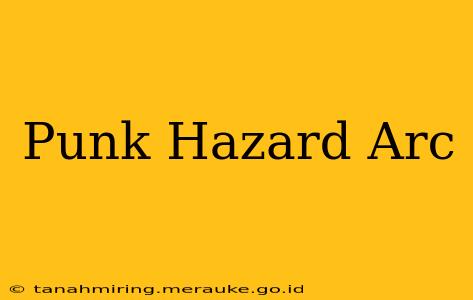 Punk Hazard Arc