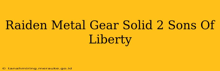 Raiden Metal Gear Solid 2 Sons Of Liberty
