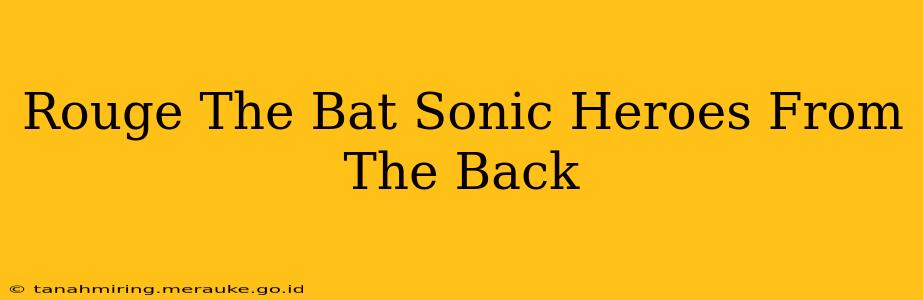 Rouge The Bat Sonic Heroes From The Back