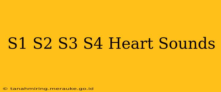 S1 S2 S3 S4 Heart Sounds