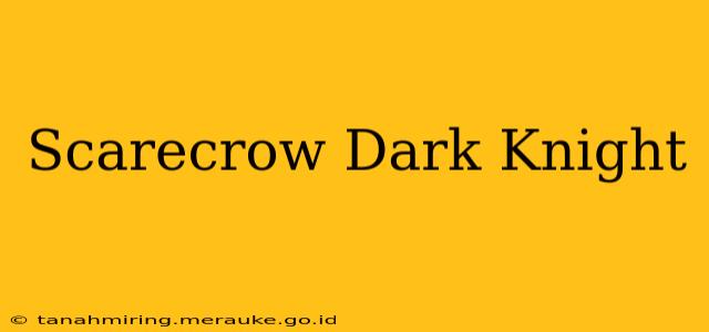 Scarecrow Dark Knight
