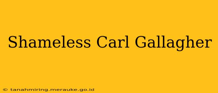 Shameless Carl Gallagher