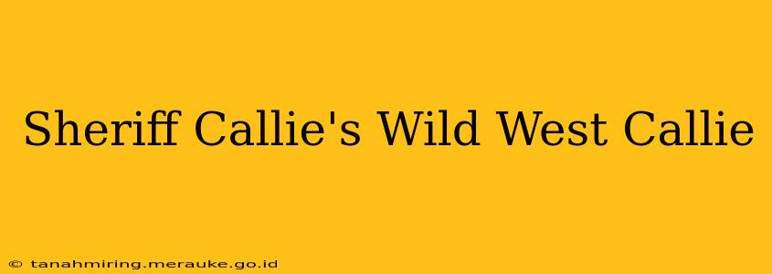 Sheriff Callie's Wild West Callie