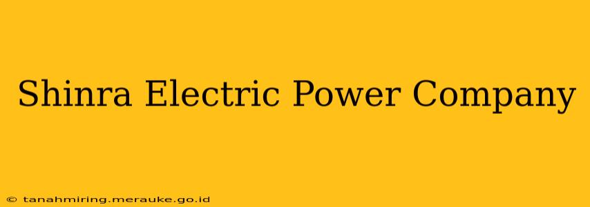 Shinra Electric Power Company