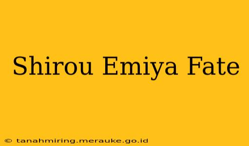 Shirou Emiya Fate
