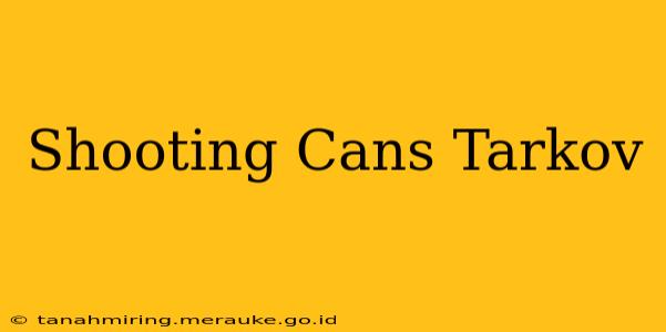 Shooting Cans Tarkov