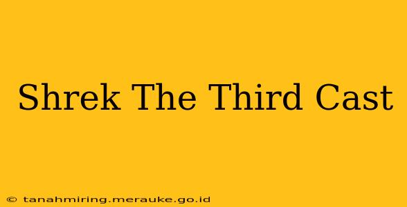 Shrek The Third Cast