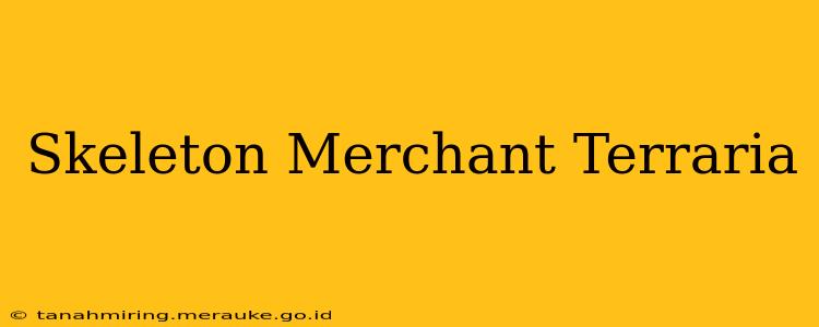 Skeleton Merchant Terraria