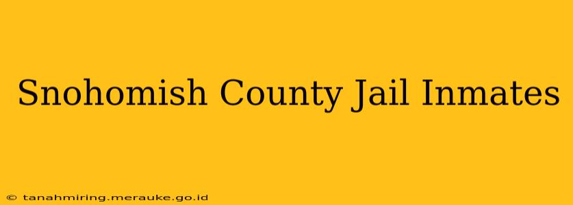Snohomish County Jail Inmates