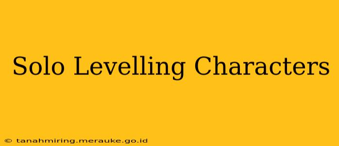 Solo Levelling Characters