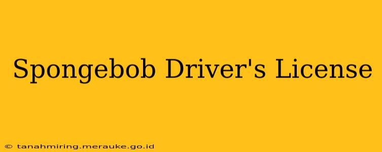 Spongebob Driver's License